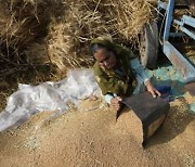 밀 생산 2위 인도, 밀 수출 금지 발표