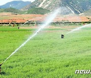 북한, '가뭄 피해 방지 총력'..논밭에 투입된 양수 설비
