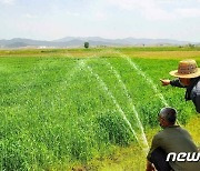 북한, 가뭄 피해 막으려 농장들 사이 '물대기 경쟁'도