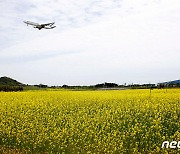 경기 광명·구리·성남·오산 등에 건조주의보