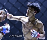 #'2연승' 박진우, 김준석을 1라운드 펀치에 의한 TKO로 물리쳐