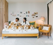 '펫팸족' 겨냥 반려동물과 함께하는 가정의 달 마케팅 활발