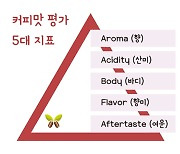 '프레그런스'란 용어 마뜩잖은 이유 [박영순의 커피 언어]