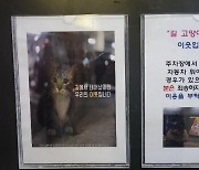 "길 고양이는 이웃, 외부주차장으로"..아파트 안내문에 '와글'