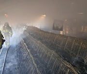 경북 의성 농장에 불..닭 9천여 마리 폐사