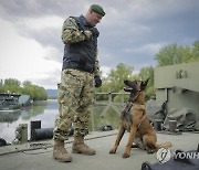 Hungary Bomb Dog