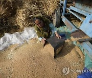 인니는 팜유, 인도는 밀 수출 금지..'식량보호주의' 확산