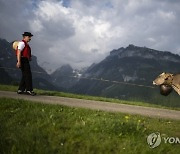 SWITZERLAND ALPAUFZUG CUSTOMS AND TRADITIONS