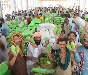 PAKISTAN AGRICULTURE MANGOES EXPORT
