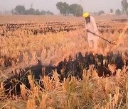 인도, 밀 수출 금지 발표..곡물 '빗장'에 식량 위기 고조