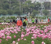 [오늘의 날씨] 울산(15일, 일)..대체로 맑음