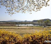 [오늘의 날씨] 대전·충남(15일, 금)..큰 일교차