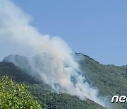 단양 소백산국립공원 내 야산서 불..산림 0.1㏊ 태워