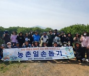 [사진뉴스]충남세종농협, 인삼꽃 제거 작업 일손 돕기
