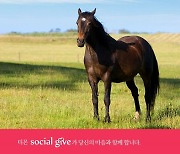 티몬, 은퇴 경주마 후원 '소셜기부' 개최