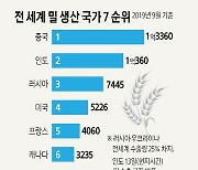 '밀 생산 2위' 인도 수출 전격금지.. G7 "식량위기 악화" 반발