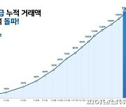 "민간배달앱 독주 막기 위해 배달특급 필요"