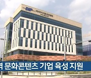대구디지털산업진흥원, 지역 문화콘텐츠 기업 육성 지원