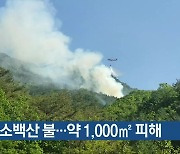 단양 소백산 불..약 1,000㎡ 피해