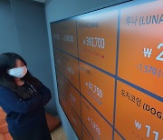 금융당국, '루나·테라 폭락 사태' 긴급 동향점검