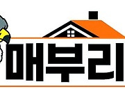 "한국도 美벤치마킹, 주택 양도세 이연 검토할 만" [매부리TV]