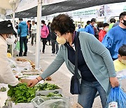 정선 곤드레 산나물 축제 성료