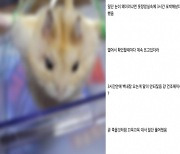 '햄스터 포박' 사진 올린 누리꾼 불송치..동물단체 "이의제기"