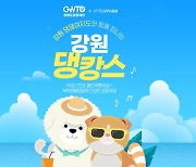 반려견 동반 여행 모았다..인터파크 '강원 댕캉스' 기획전