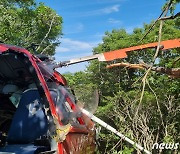 거제 선자산 숲속에 처박힌 헬기..기체 형태는 대부분 유지