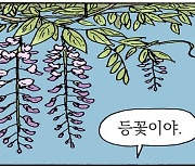 [소년중앙] 치렁치렁 등나무 꽃그늘..향기로운 동네 쉼터죠