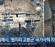 김해시, '원지리 고분군' 국가사적 지정 추진