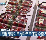 농림축산식품부, 딸기 전용 항공기로 싱가포르·홍콩 수출 지원