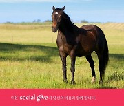 티몬, 은퇴 경주마 지원 '소셜기부' 개최