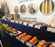 김제 '국제종자박람회' 10월 개최..참가기업 27일까지 모집