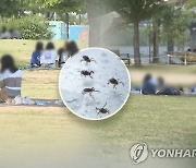 진드기 매개 SFTS 올해 첫 사망자 발생.."야외활동 조심"