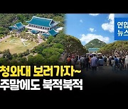 [영상] 이제는 서울 대표 관광명소..청와대서 만끽하는 봄날 주말