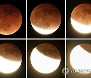 Lunar Eclipse Photo Gallery