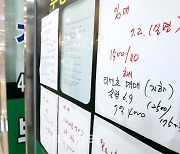 [포토]3월 서울 아파트 실거래가 지수, 5개월 만에 상승세로 전환