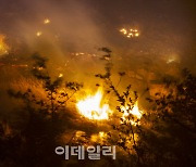 경북 경주 야산서 산불..2시간째 진화 작업
