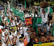 "팜유 수출 금지 철회하라"..인니 전역서 농민들 시위