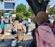 "40년 왕벚나무는 우리 역사"..제주 가로수 벌채에 분노한 할머니들