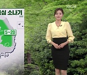 [퇴근길 날씨] 내일 요란한 소나기..수도권, 충남 초미세먼지 '나쁨'