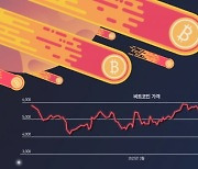 사실은 기관도 물렸다..가상 자산 시총 전고점 대비 50% 폭락