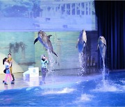 제주 퍼시픽 리솜에 살던 멸종위기종 돌고래들의 수난사