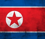 'NK diplomat is living in South'