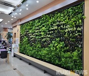 횡성군 민원실, 공기정화 식물 활용한 '스마트 가든' 설치
