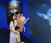 [포토] 온 가족이 즐기는 미디어아트전 '나는 고래'