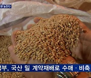 '60%' 뛴 밀 가격에..국산 밀 비축량 늘리고 자급률 높인다