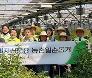 NH-Amundi자산운용 임직원들, 장미농원에서 일손돕기.."ESG경영 일환"