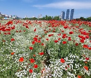 충북 맑고 일교차 커..낮 26~28도